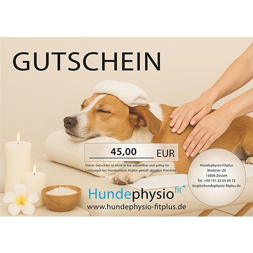 Gutschein für Hundetherapie mit entspannendem Hund, Kerzen und Pflegeaufwand.