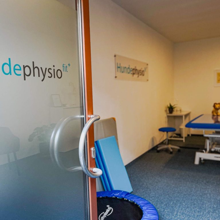 Praxisraum mit einer Behandlungsliege und Physiotherapie-Ausstattung.