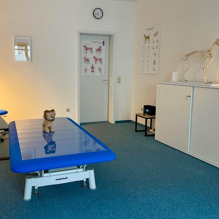 Therapieraum mit blauer Liege, Spielzeug und medizinischen Postern an der Wand.