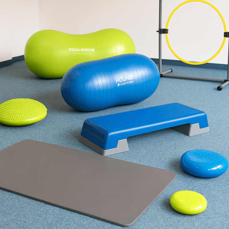 Bunte Fitnessgeräte auf einem blauen Teppichboden: Übungsbälle, Matten und Hanteln.