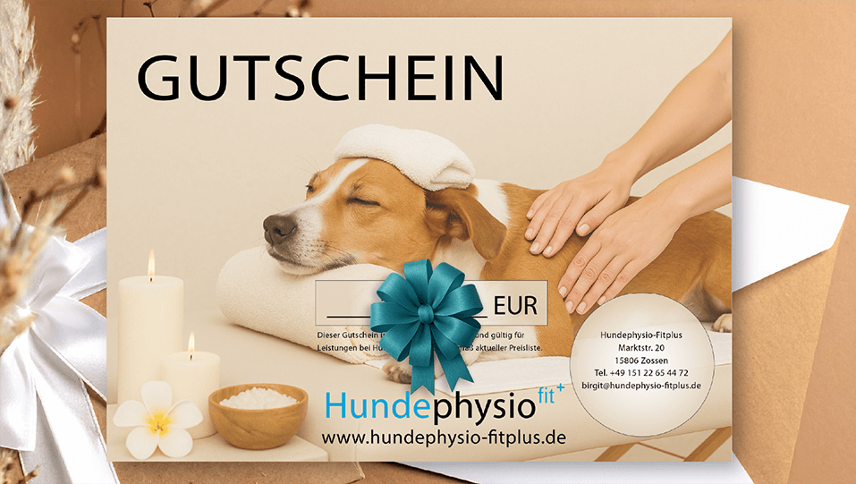 Gutschein für Hundephysio mit liegendem Hund und Entspannungselementen.