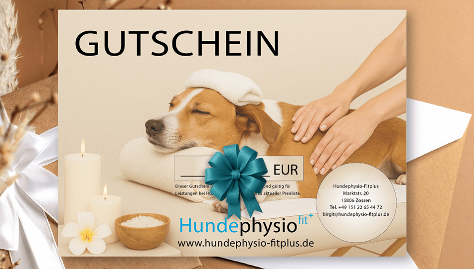 Gutschein für Hundephysio mit liegendem Hund und Entspannungselementen.
