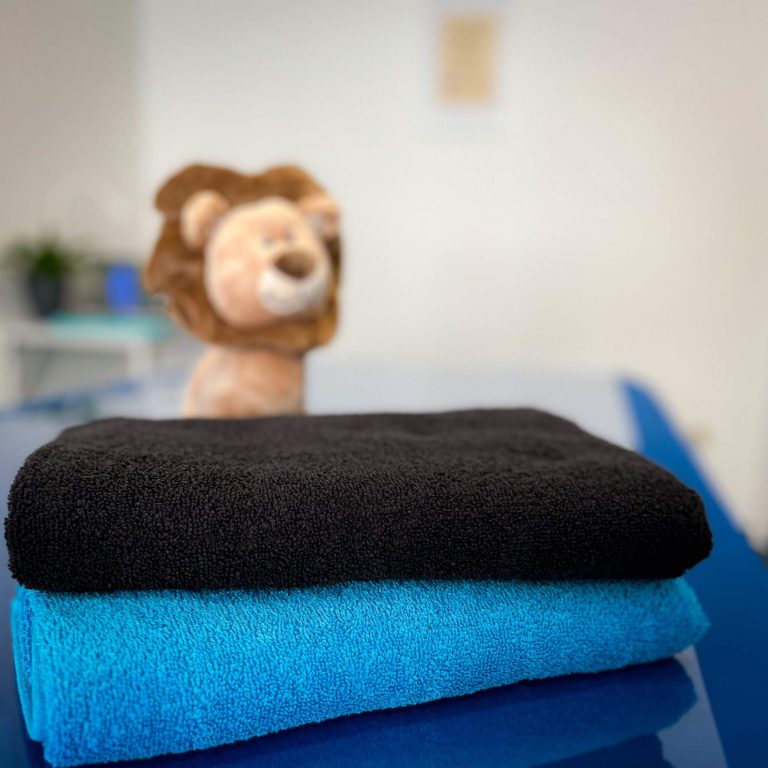 Ein brauner Plüschlöwe steht hinter zwei gefalteten Handtüchern in Blau und Schwarz.